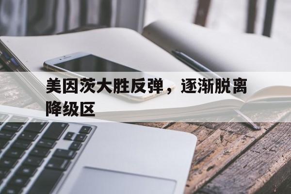 官方网站-美因茨美因茨